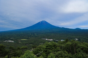Fototapeta premium 【山梨県】新緑の青木ヶ原樹海と富士山の風景