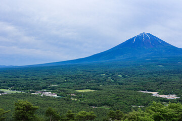 Fototapeta premium 【山梨県】新緑の青木ヶ原樹海と富士山の風景