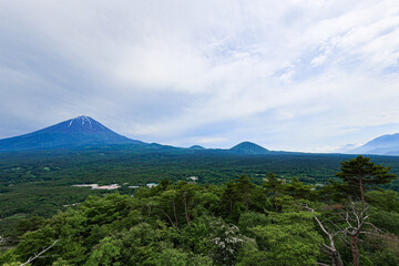Fototapeta premium 【山梨県】新緑の青木ヶ原樹海と富士山の風景