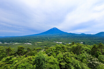 Fototapeta premium 【山梨県】新緑の青木ヶ原樹海と富士山の風景