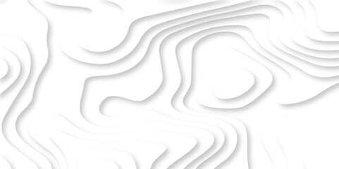 Abstract luxury white modern 3d papercut, topography map circle and wave line smooth multilayer pattern. vector white art papercut design Topographic geometric map relief texture with curved layers.