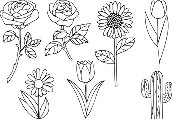 Fototapeta premium Rose, sunflower, tulip flowers vector outline on a white background, clipart, cutout