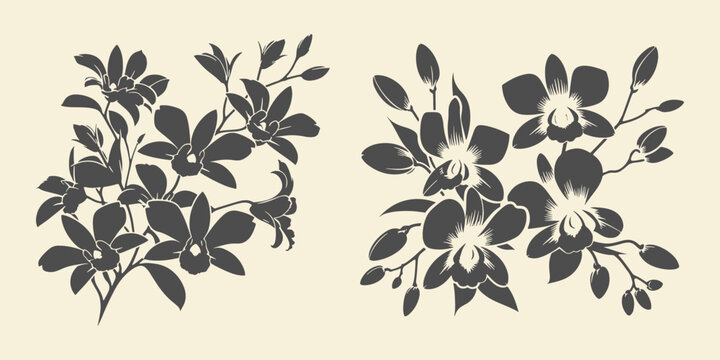 Black silhouette of dendrobium flower. Floral drawing vector illustration. 