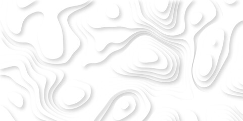 Abstract luxury white modern 3d papercut, topography map circle and wave line smooth multilayer pattern. vector white art papercut design Topographic geometric map relief texture with curved layers.