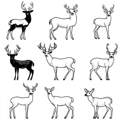 A grid of various deer illustrations in different poses and styles.