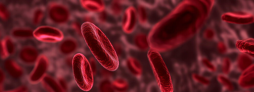 Exploring the Visual Impact of Red Blood Cell Anemia A Creative Journey into Deficiency