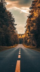 Fototapeta premium Endless Road Towards the Horizon FlankedTall Trees in Warm Golden Hour Light