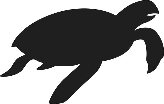 recommend clip art: turtle silhouette