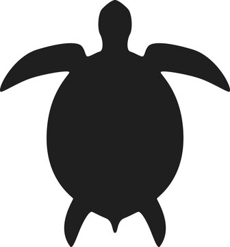 recommend clip art: turtle silhouette