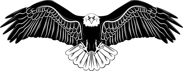 Fototapeta premium Bald Eagle