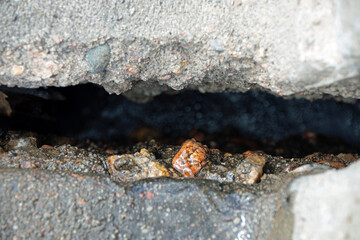 crack in a concrete parking stop