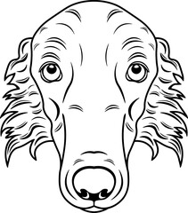 Borzoi