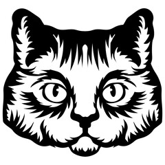 British Shorthair Cat Face