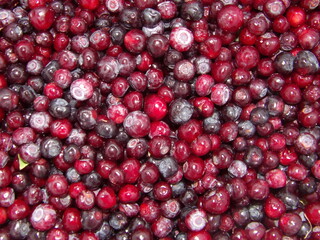 MINOLTA DIGITAL STILL CAMERA