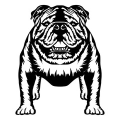 Bulldog