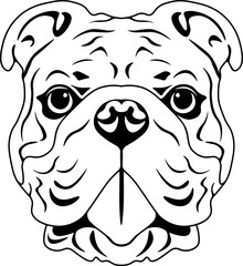 Bulldog