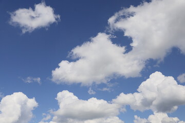 Obraz premium clouds in the sky