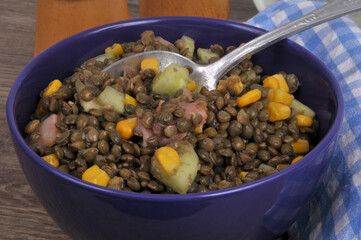 Bol de salade de lentilles du Puy avec du saumon, des morceaux de concombre et du maïs en grains en gros plan