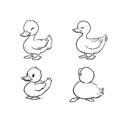 Four cartoon duck sketches showcasing different poses and expressions.