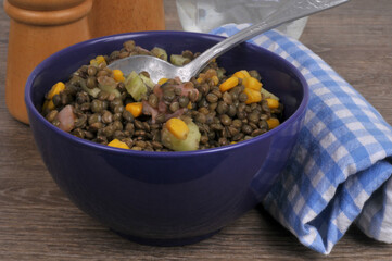 Bol de salade de lentilles du Puy avec du saumon, des morceaux de concombre et du maïs en grains en gros plan