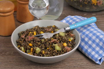 Assiette de salade de lentilles du Puy avec divers ingrédients et une fourchette en gros plan