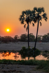 Sunset at a waterhole, Namibia landscape, Africa