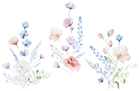 Bouquets made with watercolor pastel wild flowers and leaves,  hand drawn wedding illustration