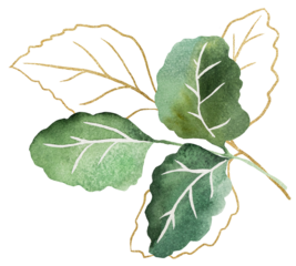 Watercolor green and golden tiny leaves isolated illustration, wedding stationery element