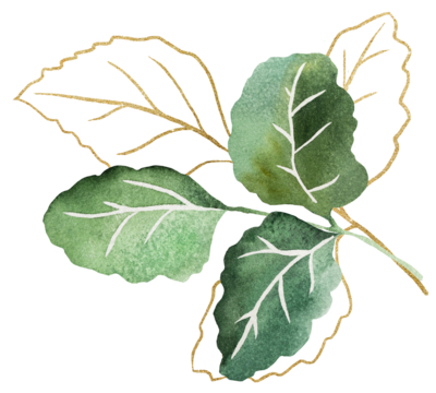 Watercolor green and golden tiny leaves isolated illustration, wedding stationery element