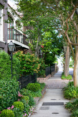 Treelined streets of Charleston, South Carolina