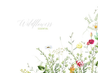 Wildflowers and plants vector design frame. Hand painted meadow branches, flowers, leaves on white background. Greenery wedding invitation. Watercolor style card. Elements are isolated and editable