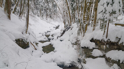 Winter in a forest in the German Alps in the bavarian Allgäu