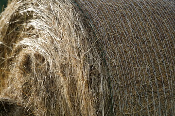 Bale of hay - close-up photograph