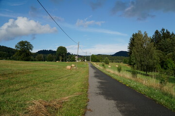 Fototapeta premium Rural road and meadow with grass