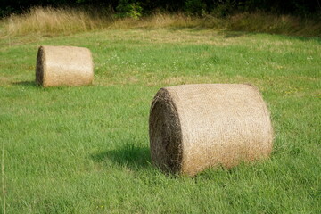 Round bales of hay on meadow © PX Media