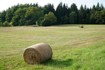 Round bales of hay on meadow © PX Media