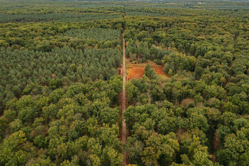 Obraz premium aerial view of a french forest in autumn