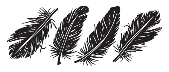 Obraz premium Hand-Drawn Feather Illustration in Black and White with Vintage Engraved Style