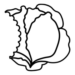 Cabbage Bitten Outline
