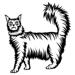 Cat Collection Extra Files - Maine Coon Cat