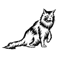 Cat Collection Extra Files - Maine Coon Cat