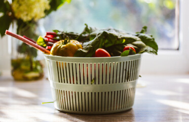 Freshly picked summer vegetables in a plastic basket, vegetable dryer on a kitchen table. Rustic organic harvest. Cherry tomatoes and lettuce leaves.