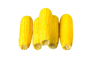 Isolated boiled corn cobs on transparent background, perfect for themes of organic farming and healthy eating. Street food. Healthy snack