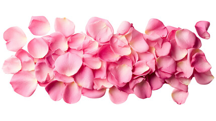 Obraz premium A pile of pink rose petals isolated on a white background.