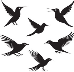 Bird silhouette set vector image