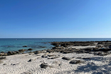 Turquoise and Dark Sea with Rocky Beach and Tree Shadow Under Clear Blue Sky