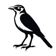 Obraz premium Vectorize bird as a frame for room decorate