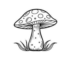 illustration of mushrooms