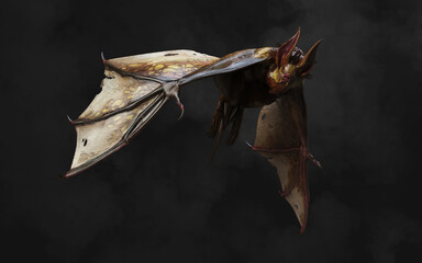 3d Illustation of Flying Vampire bat isolated on dark background with clipping path.