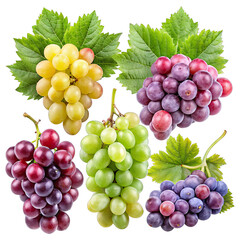Fototapeta premium Five clusters of grapes, each in a different pose, with green leaves, are shown against a white background